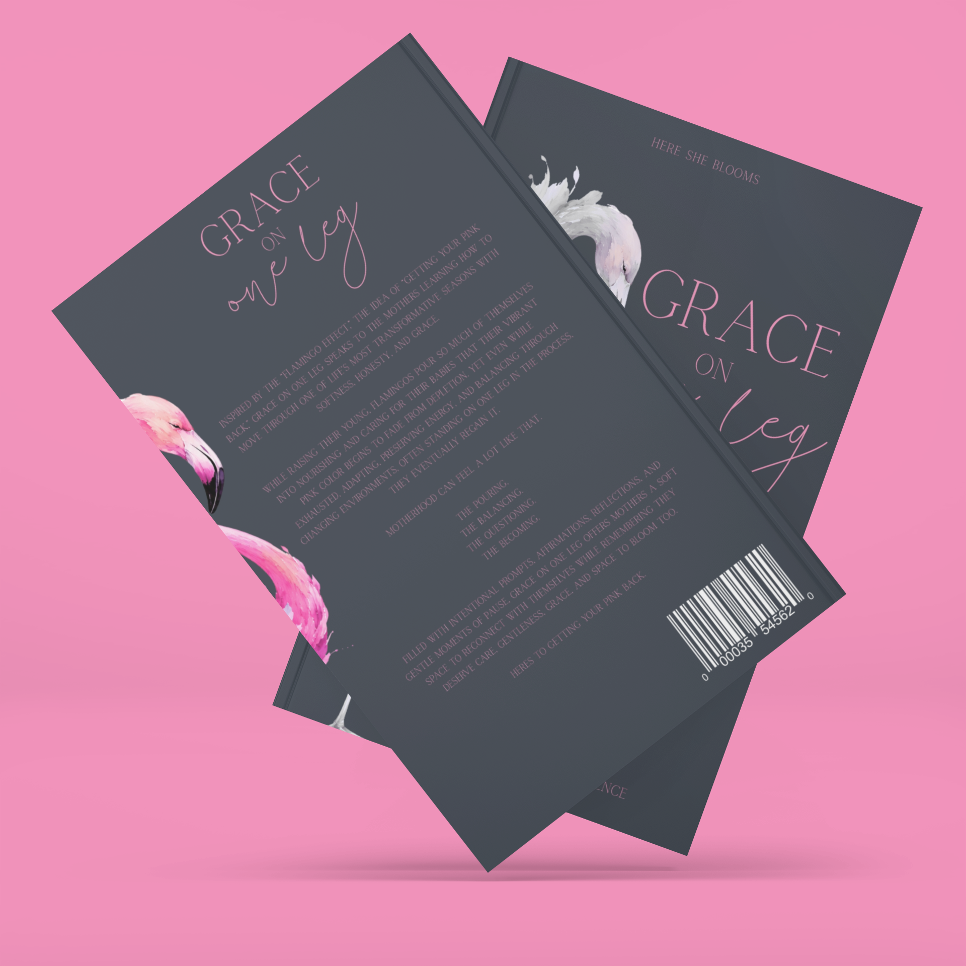 Grace on One Leg - The Flamingo Effect Mom Journal (PREORDER)
